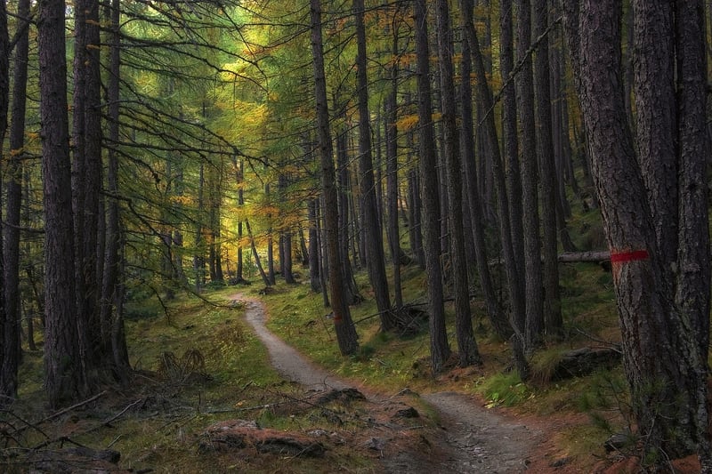 Nature Inspiration